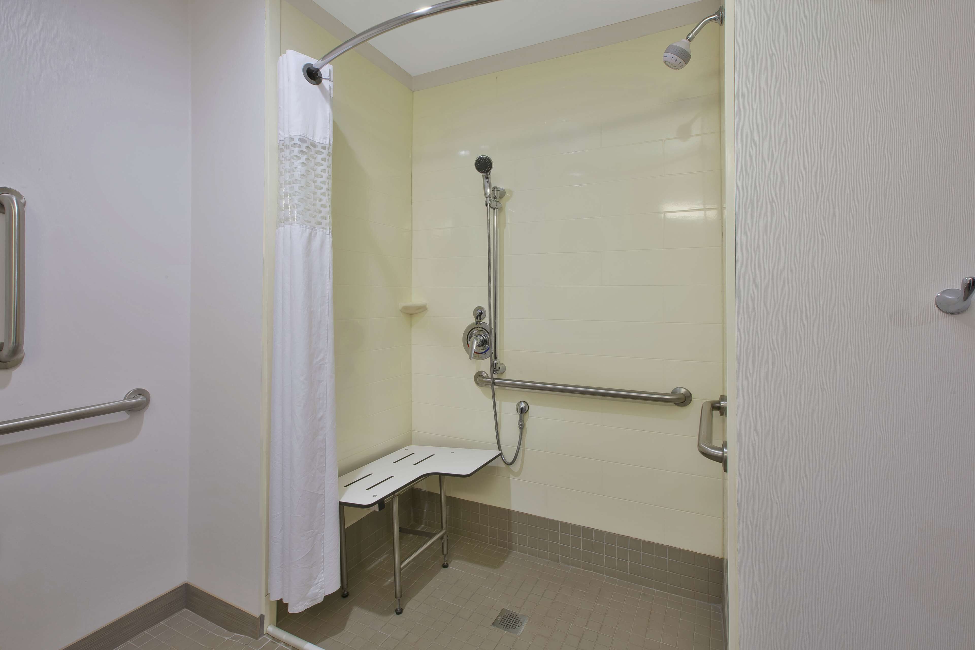 room, 1 king bed, accessible, non smoking (roll in shower) | bathroom shower