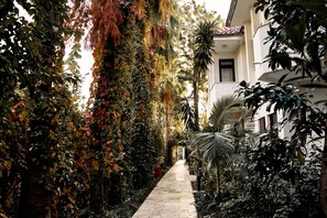 Garden - Aida Hotel (Kemer)