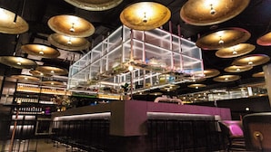 Bar (en la propiedad)