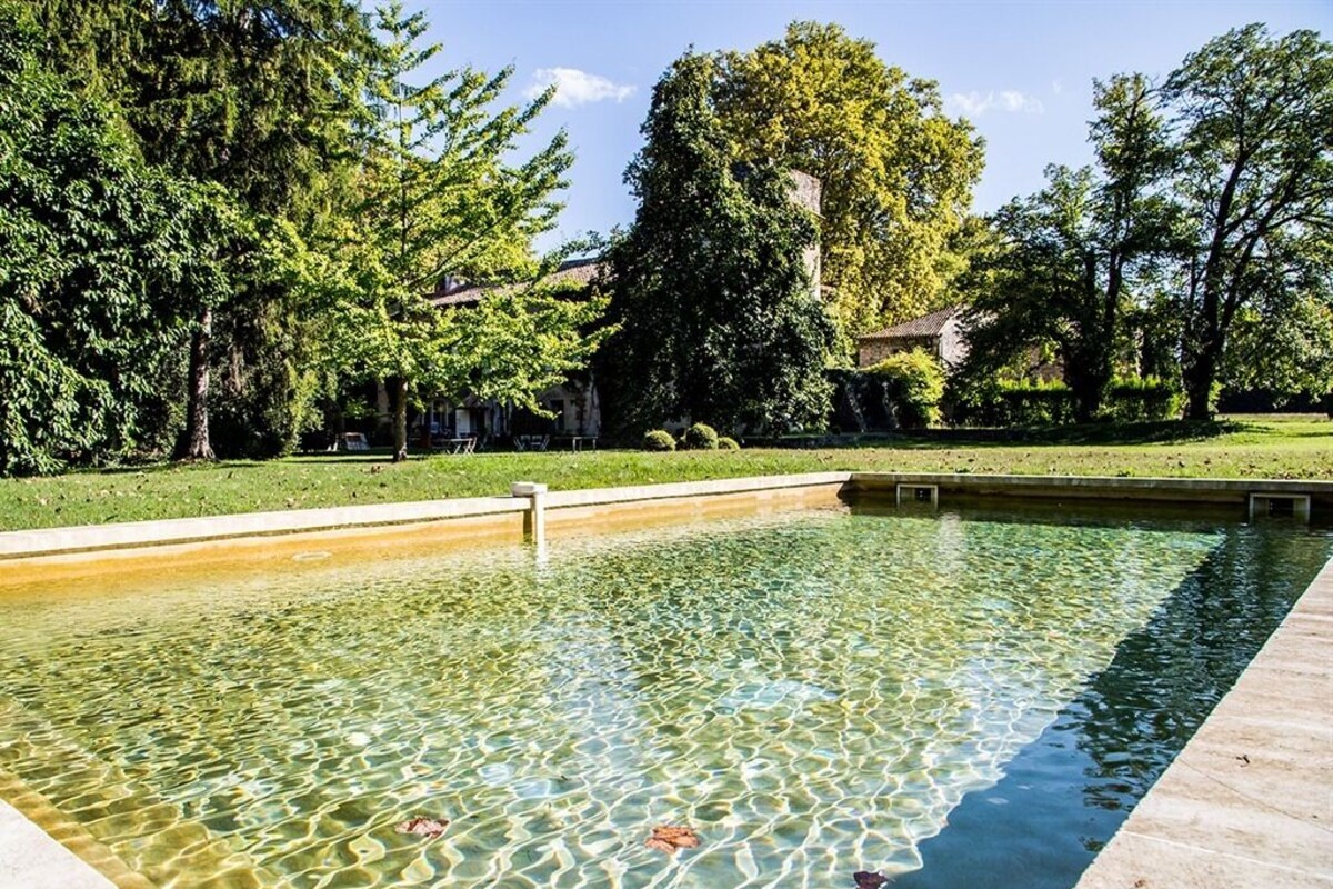 Una piscina rectangular con agua cristalina, rodeada de árboles y un edificio al fondo.