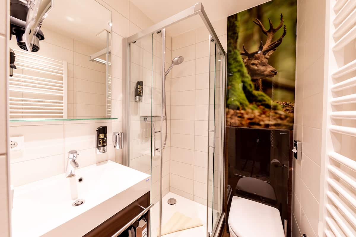 shower, free toiletries, hair dryer, towels