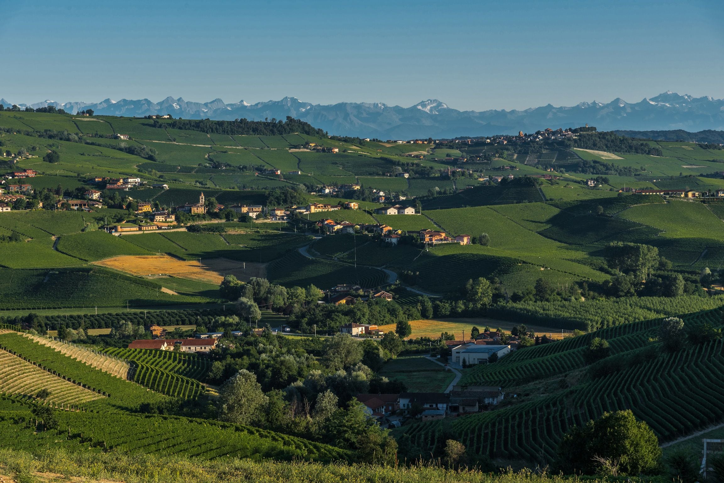 A rural landscape with vineyards, houses, and mountains in the background.
