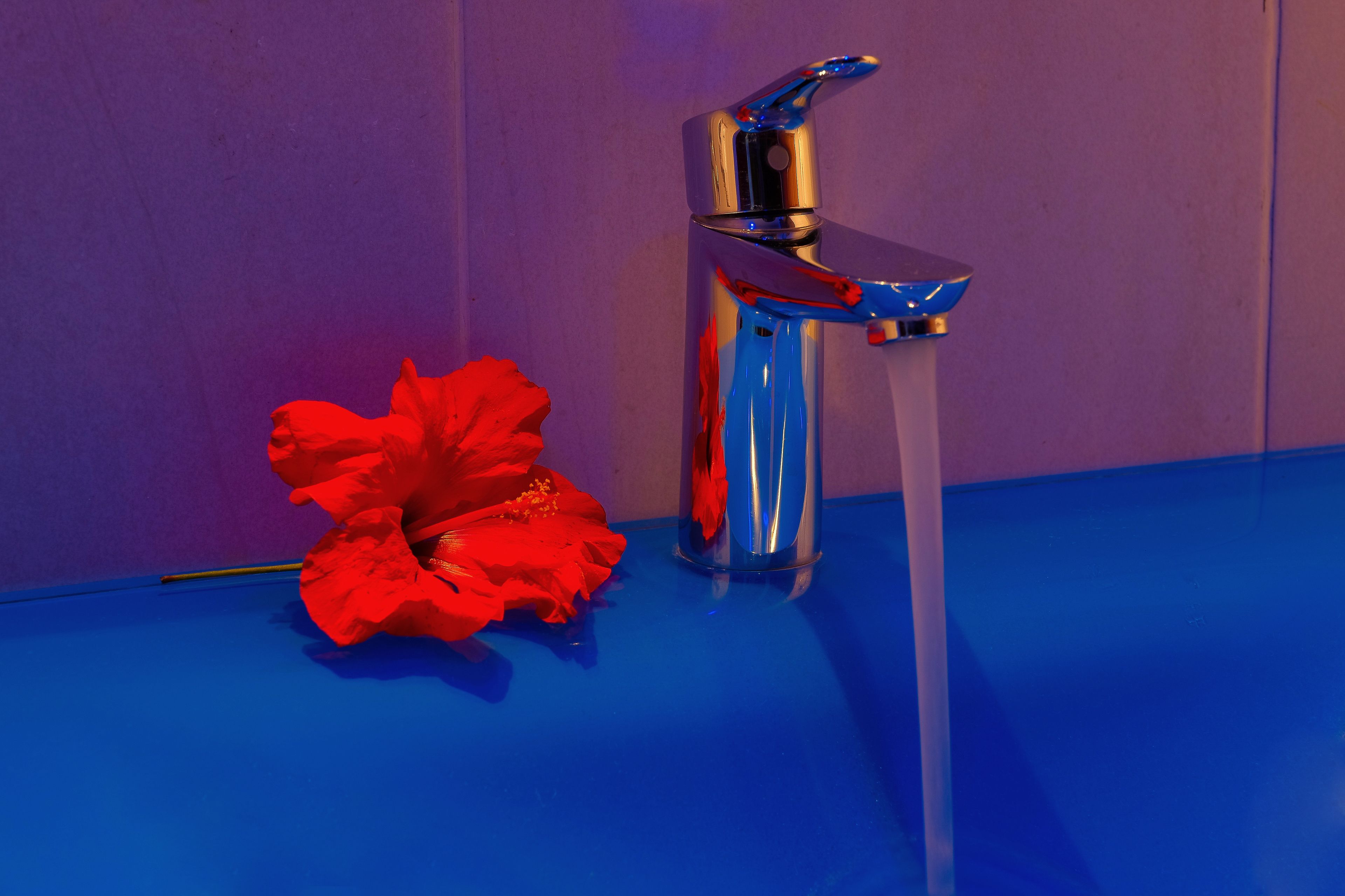 A bathroom with a chrome faucet and a red flower on the counter.