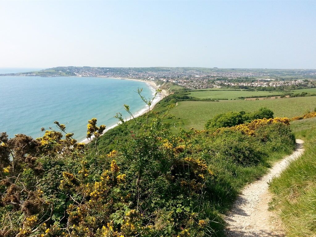 Un paysage côtier avec un sentier de terre menant à une plage, entouré de verdure et d’une ville située au loin.