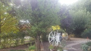 Garden - Ambleside Clarens Self Catering Cottages (Clarens)