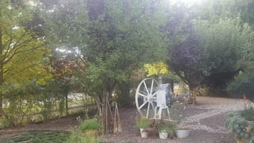 Taman