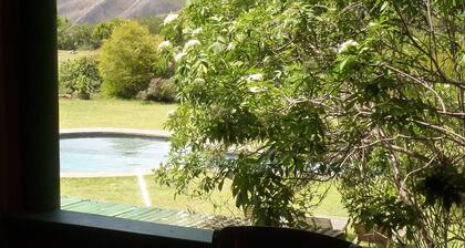 Outeniqua Moon Percheron Stud