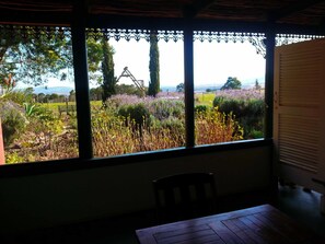 Family Suite, 2 Bedrooms | View from room - Outeniqua Moon Percheron Stud (Ruiterbos)