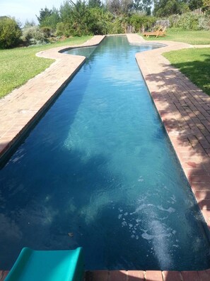 Outdoor pool - Outeniqua Moon Percheron Stud (Ruiterbos)