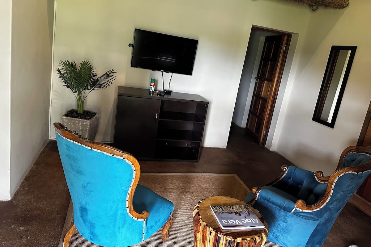 A living room with a TV, a plant, and two blue chairs.