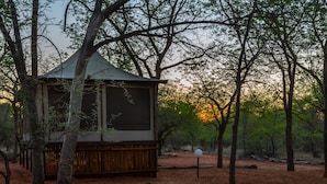 奢華帳棚, 1 間臥室 (Tented Camp) | 筆電工作空間、獨特裝潢、布置獨特、床單