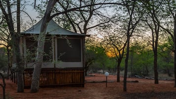 ๋ญ์
๋ฆฌ ํ
ํธ, ์นจ์ค 1๊ฐ (Tented Camp) | ๊ฐ๊ฐ ๋ค๋ฅธ ์คํ์ผ์ ์ธํ
๋ฆฌ์ด, ๊ฐ๊ฐ ๋ค๋ฅด๊ฒ ๊ฐ๊ตฌ ๋น์น, ๋
ธํธ๋ถ ์์
๊ณต๊ฐ, ์นจ๋ ์ํธ