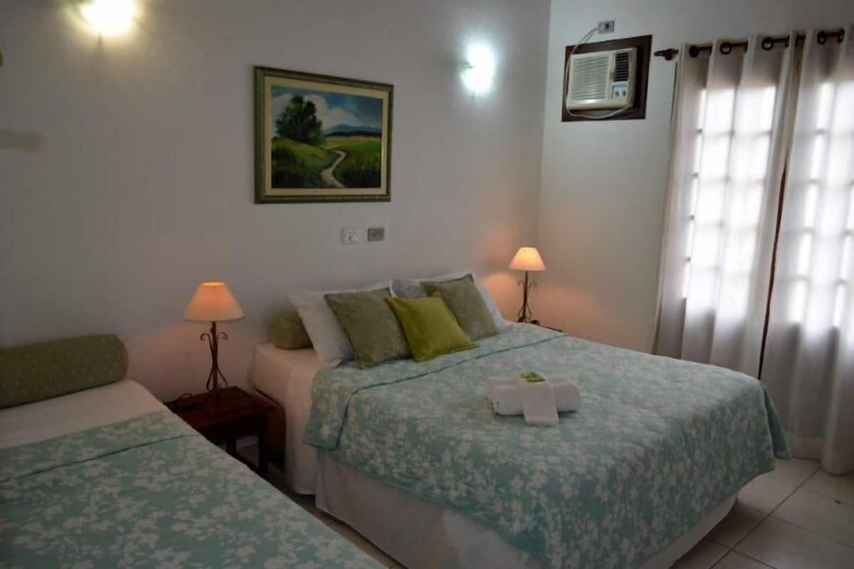 Minibar, iron/ironing board (on request), free WiFi, bed sheets