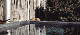 Silver Forest Boutique Hotel and Spa