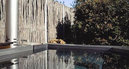 Silver Forest Boutique Hotel and Spa