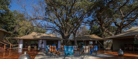 Un espacio al aire libre techado con suelo de madera, asientos y un gran árbol que da sombra.