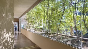 Un pasillo con pared de vidrio, piso de concreto y vista a árboles y coches estacionados afuera.
