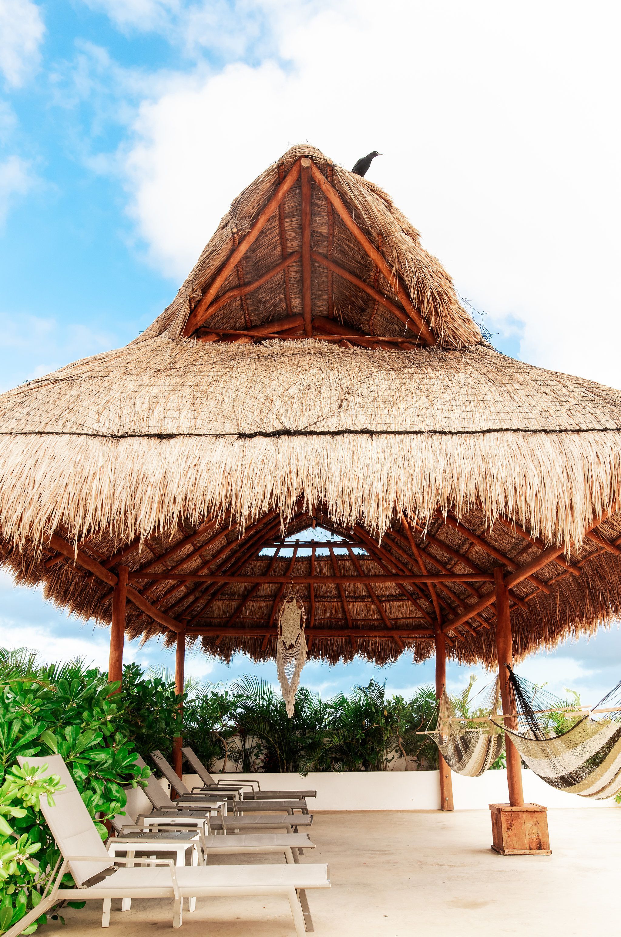 Alberca al aire libre y camastros 