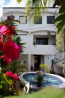 Un edificio blanco de dos pisos con piscina rodeada de macetas con plantas y flores.