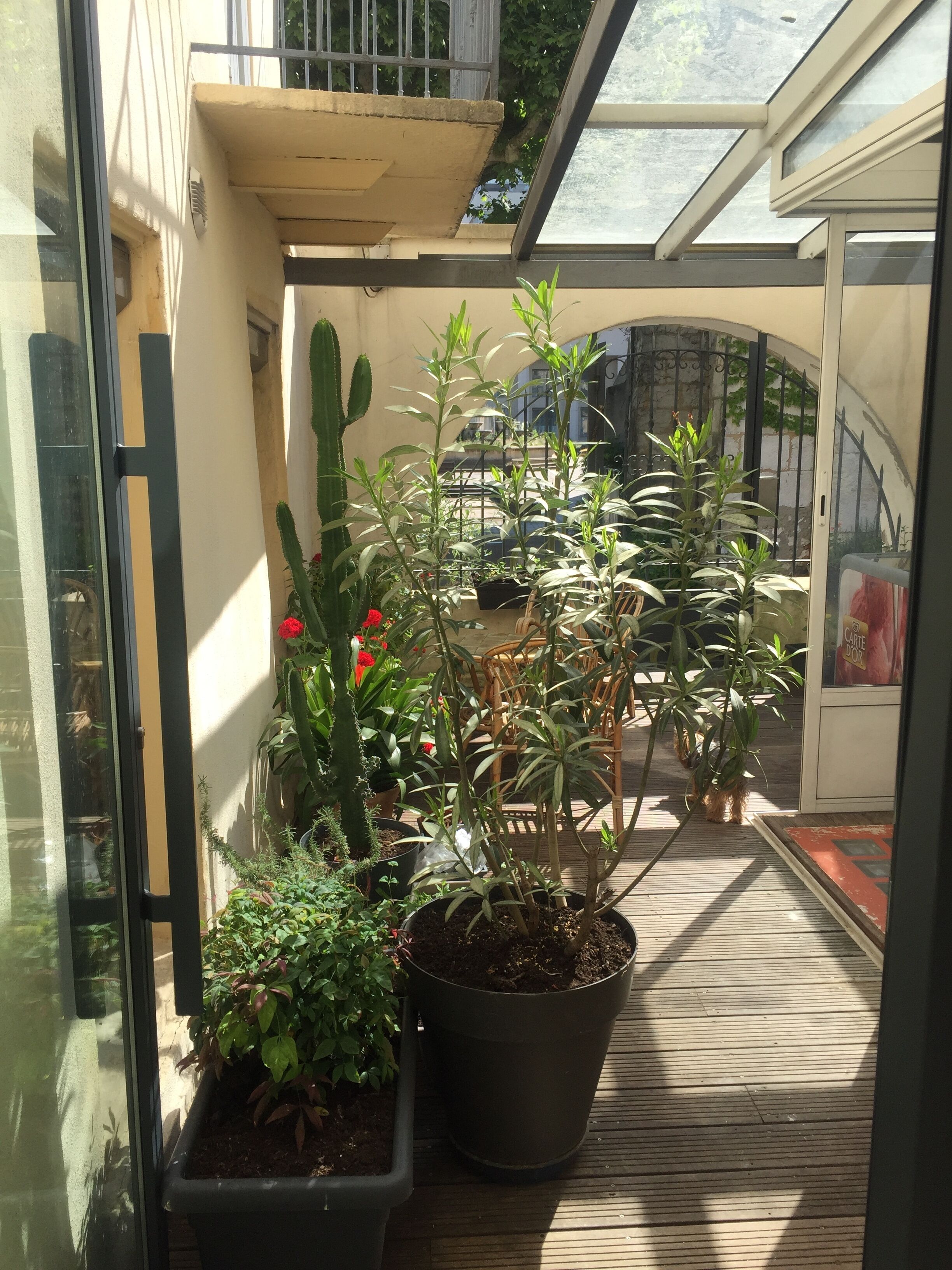Chambre romantique double, 1 lit double | Terrasse/patio