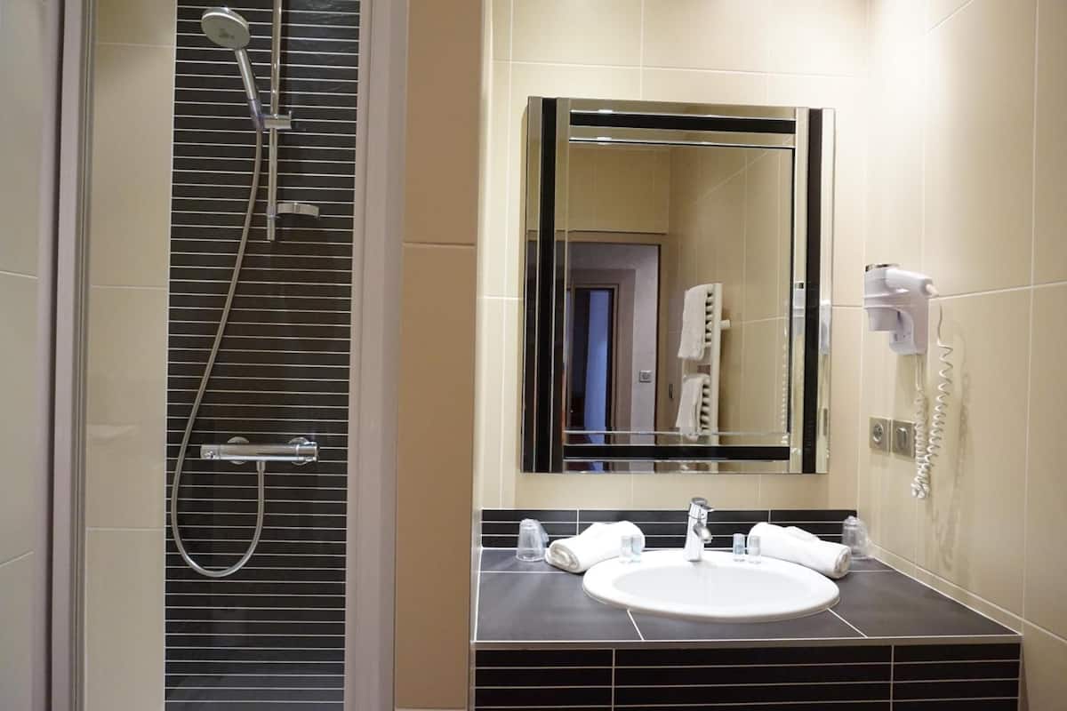 grand confort sur rue piétonne | bathroom | shower, free toiletries, hair dryer, towels