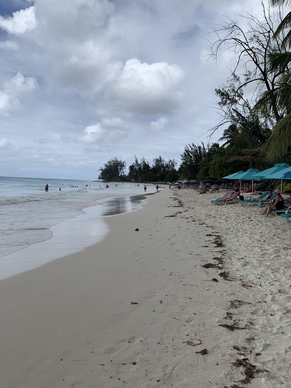 A beach with a sandy shore, palm trees, and umbrellas. - Moonshine 316 Rockley Golf Club (Bridgetown)