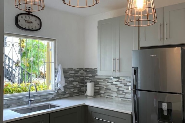 Apartment, 1 Bedroom, Ground Floor | Private kitchen | Fridge, microwave, oven, stovetop