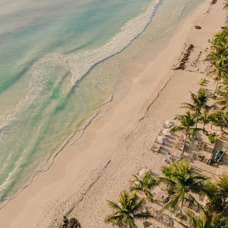 An aerial view of a beach with clear turquoise water, sandy shore, and palm trees.