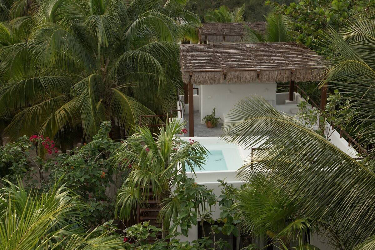Una estructura con techo de paja rodeada de exuberante vegetación y una piscina.