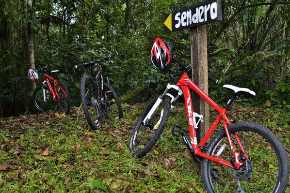 Trois vélos sont garés dans une zone boisée, à proximité d’un panneau indiquant « Sendero ».