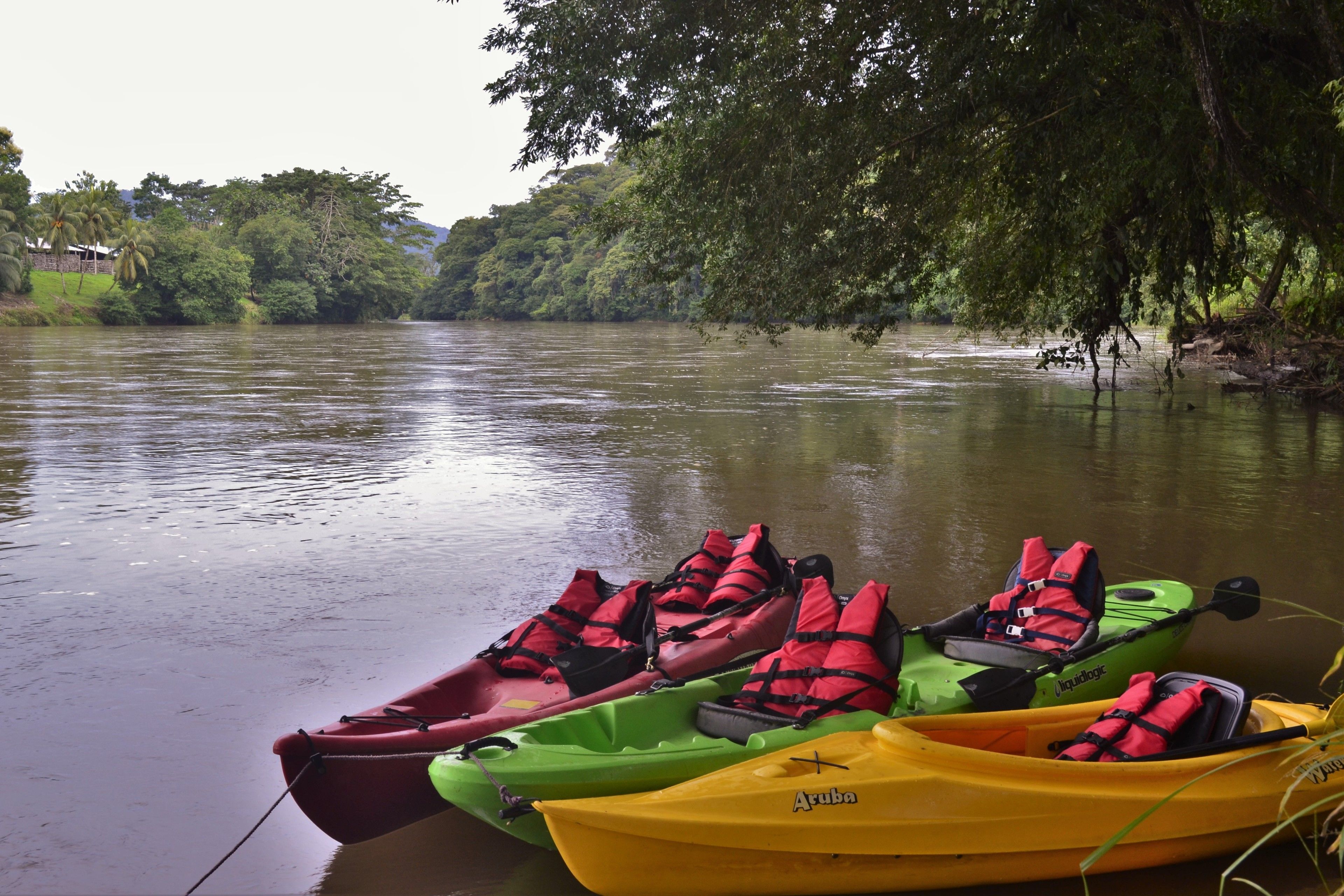 Kayaks with life jackets tied to them, docked by a calm river.