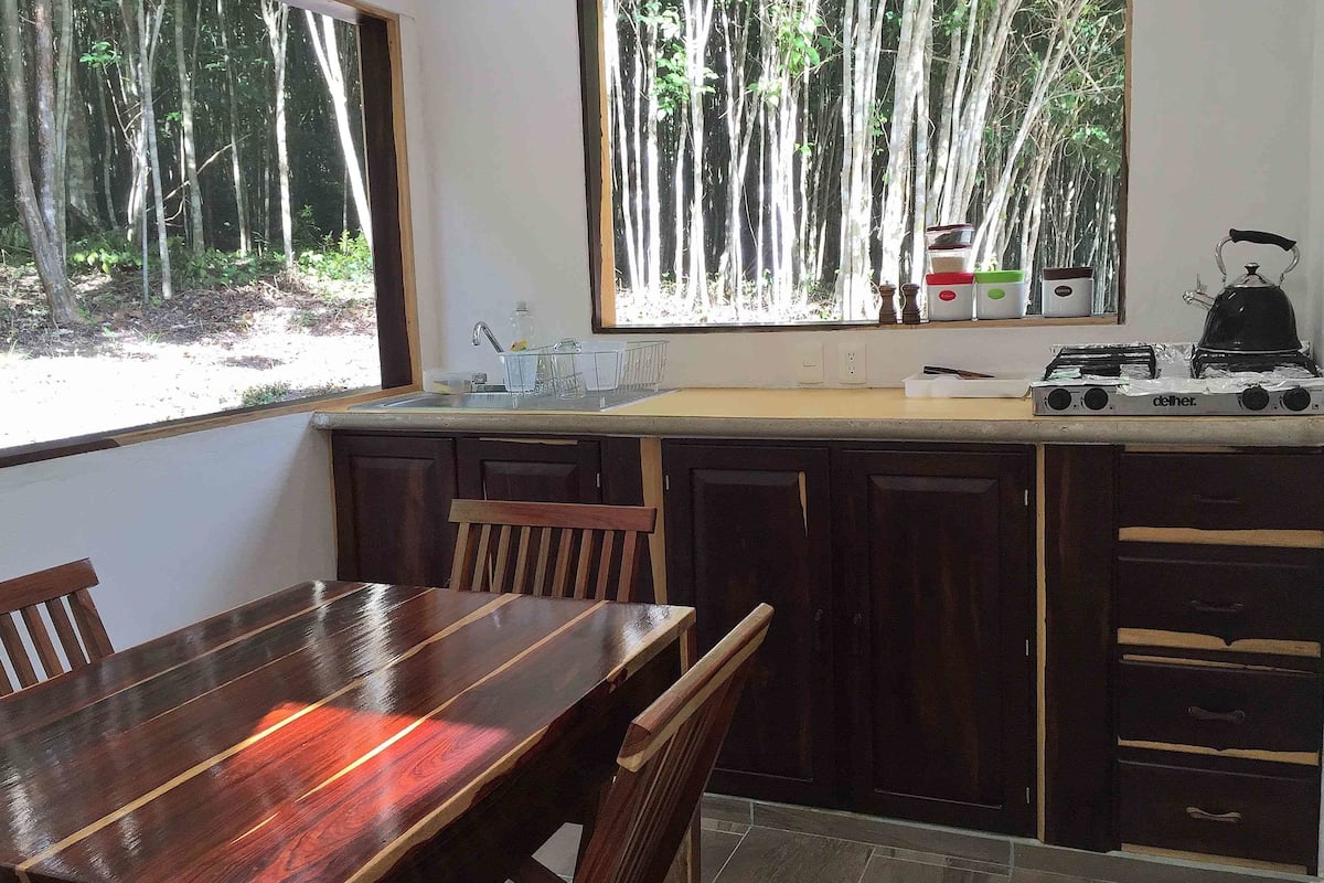 classic house, garden view | private kitchen