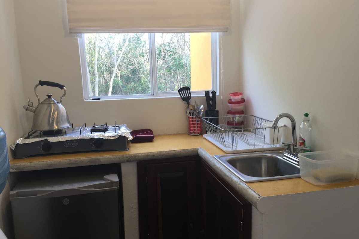 classic house, 2 bedrooms, garden view | private kitchen