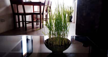 Luang Prabang Serviced Apartment