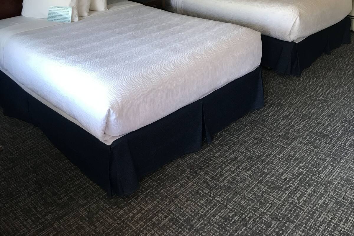 A hotel room with two beds, a blue wall, a brown curtain, and a carpeted floor.