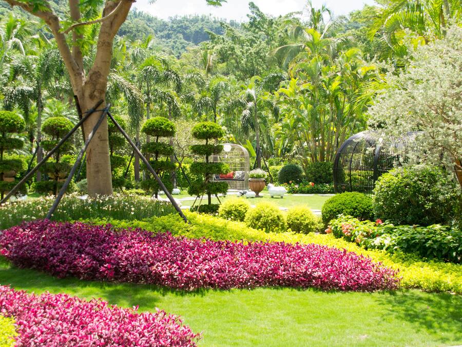 A lush garden with various plants and trees, a greenhouse, and a well-maintained lawn.