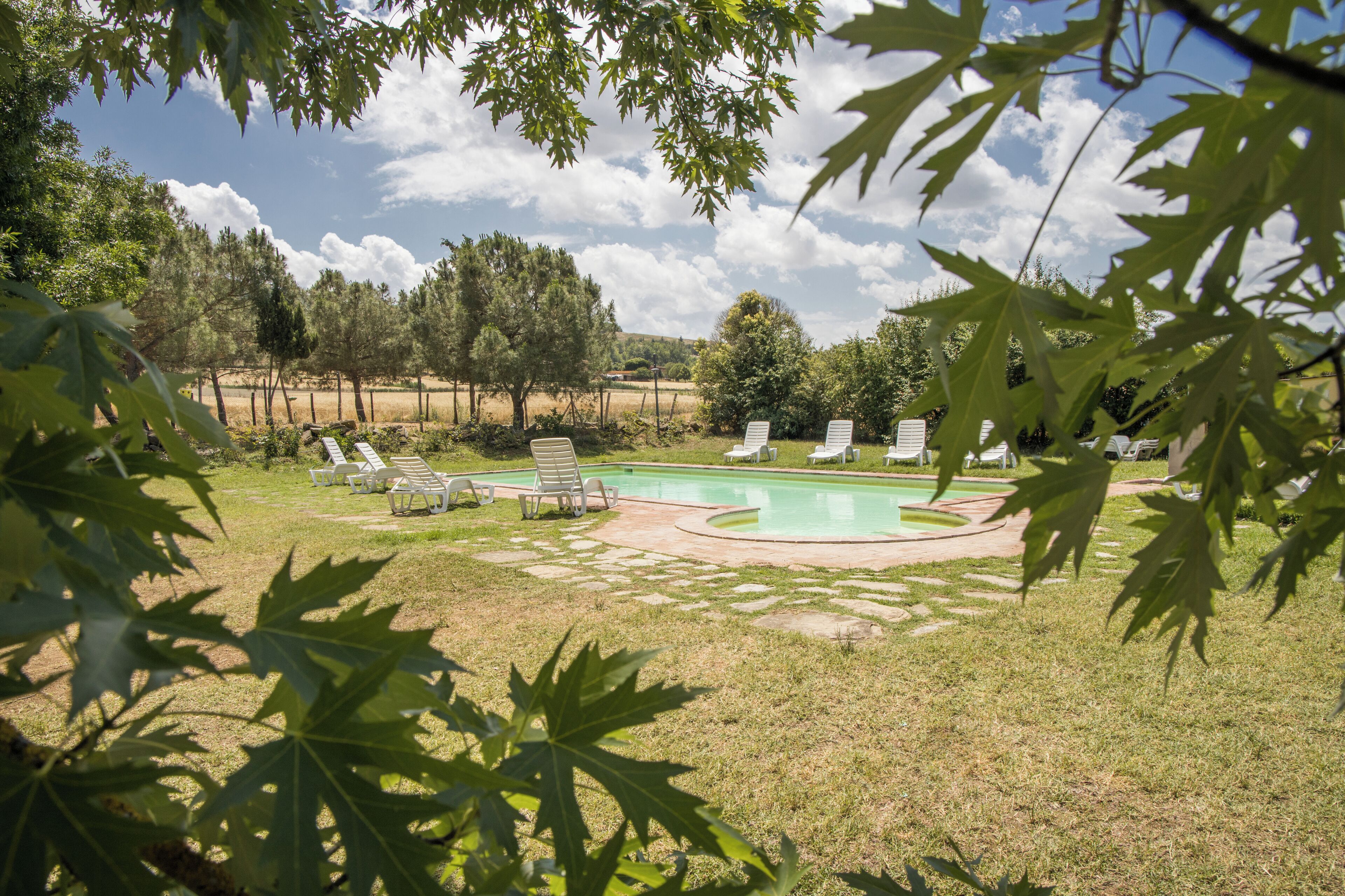 Outdoor pool, pool loungers