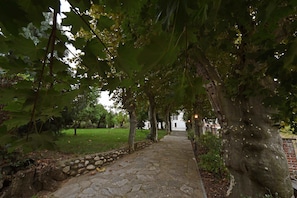 Property grounds - Villa Durando (Mondovi)