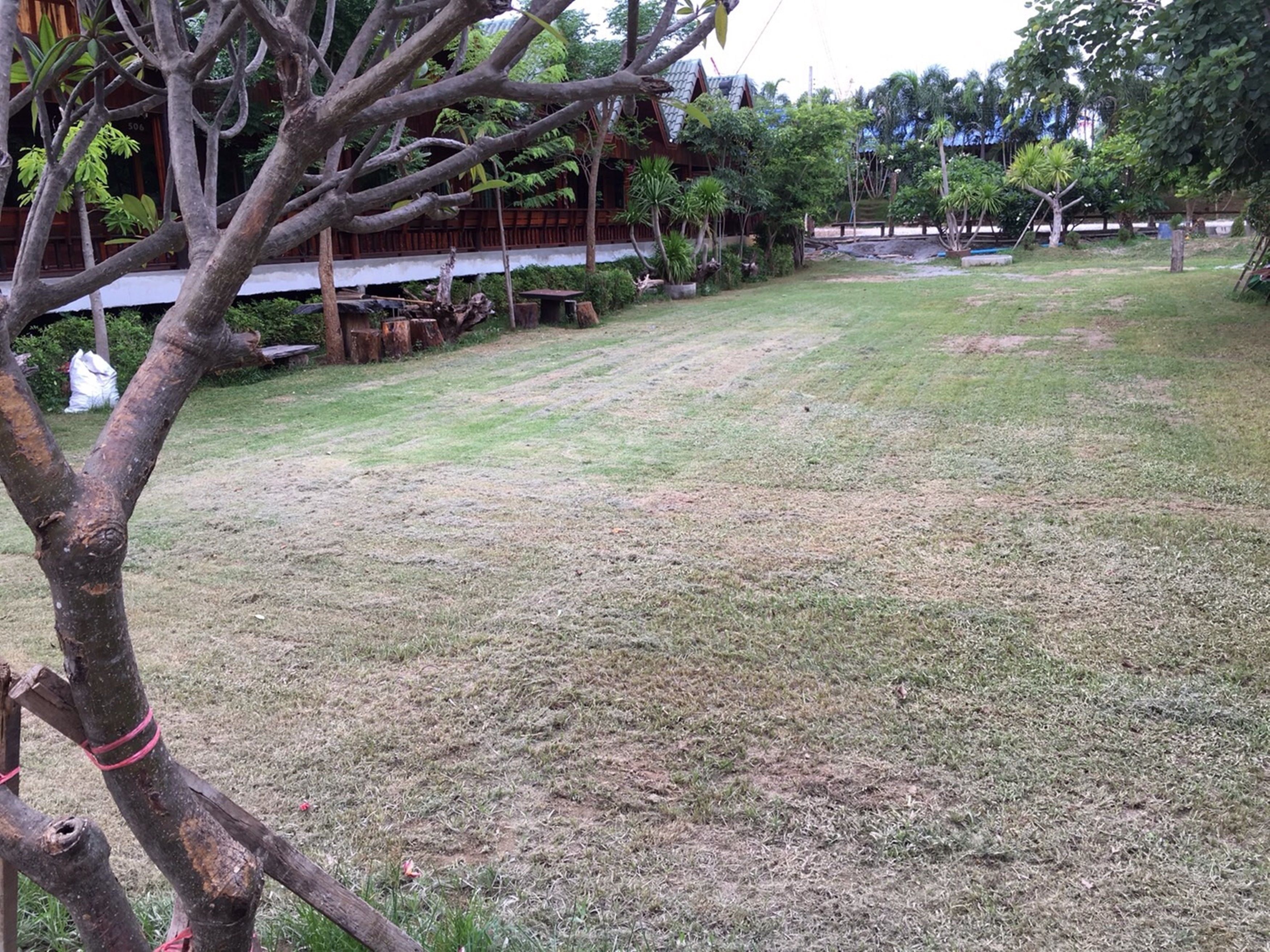A grassy area with trees and a building in the background.