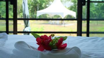 Standard Double Room | View from room