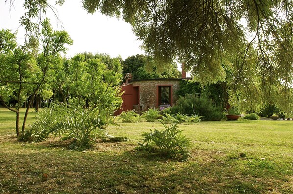 Garden - Island Lagoon - Venezia (Venice)