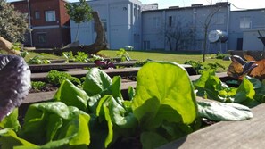 Property grounds - The Backpack Shack - Hostel (Mossel Bay)