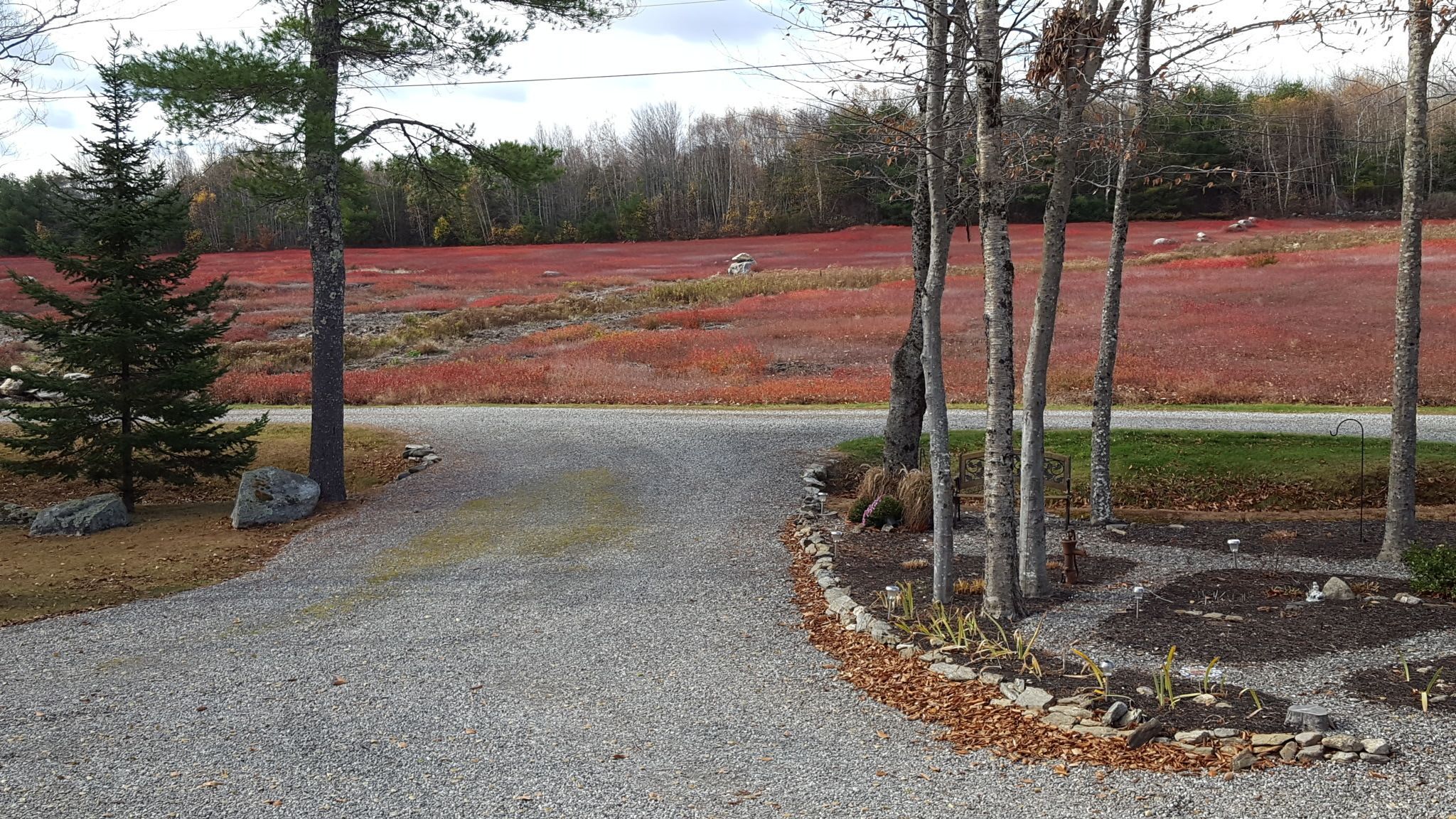 A gravel driveway leading to a wooden bench and a metal lamp post.