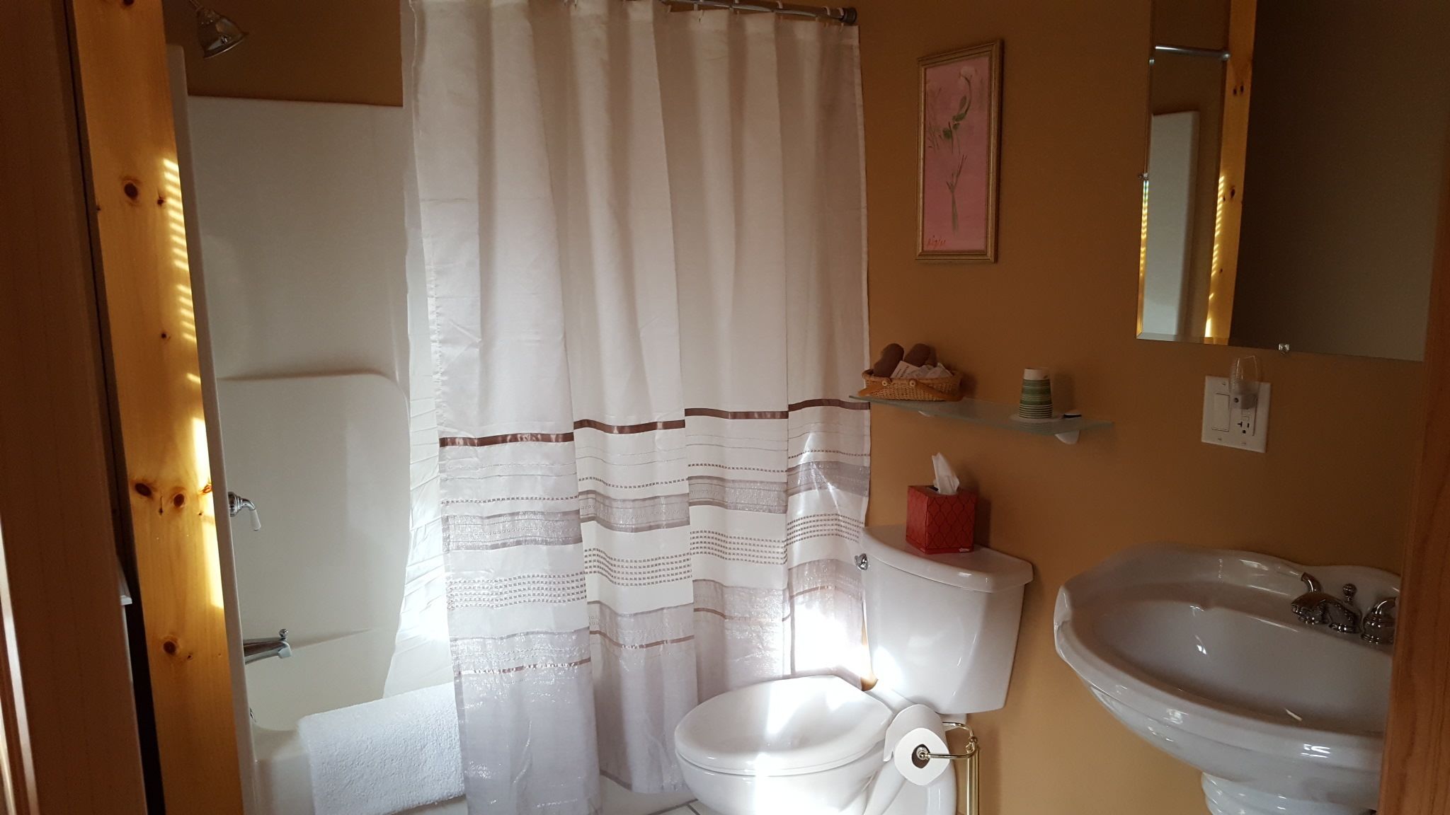 Casa de banho com cortina de chuveiro, sanita, lavatório e um armário com artigos de higiene pessoal.