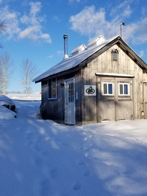Exterior - Blueberry Fields B&B (Washington)