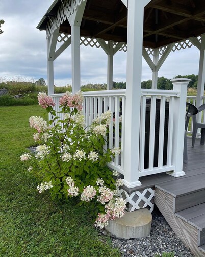 Blueberry Fields B&B