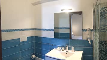 Une salle de bain avec un lavabo blanc, des carreaux bleus, un miroir, une douche et des toilettes.