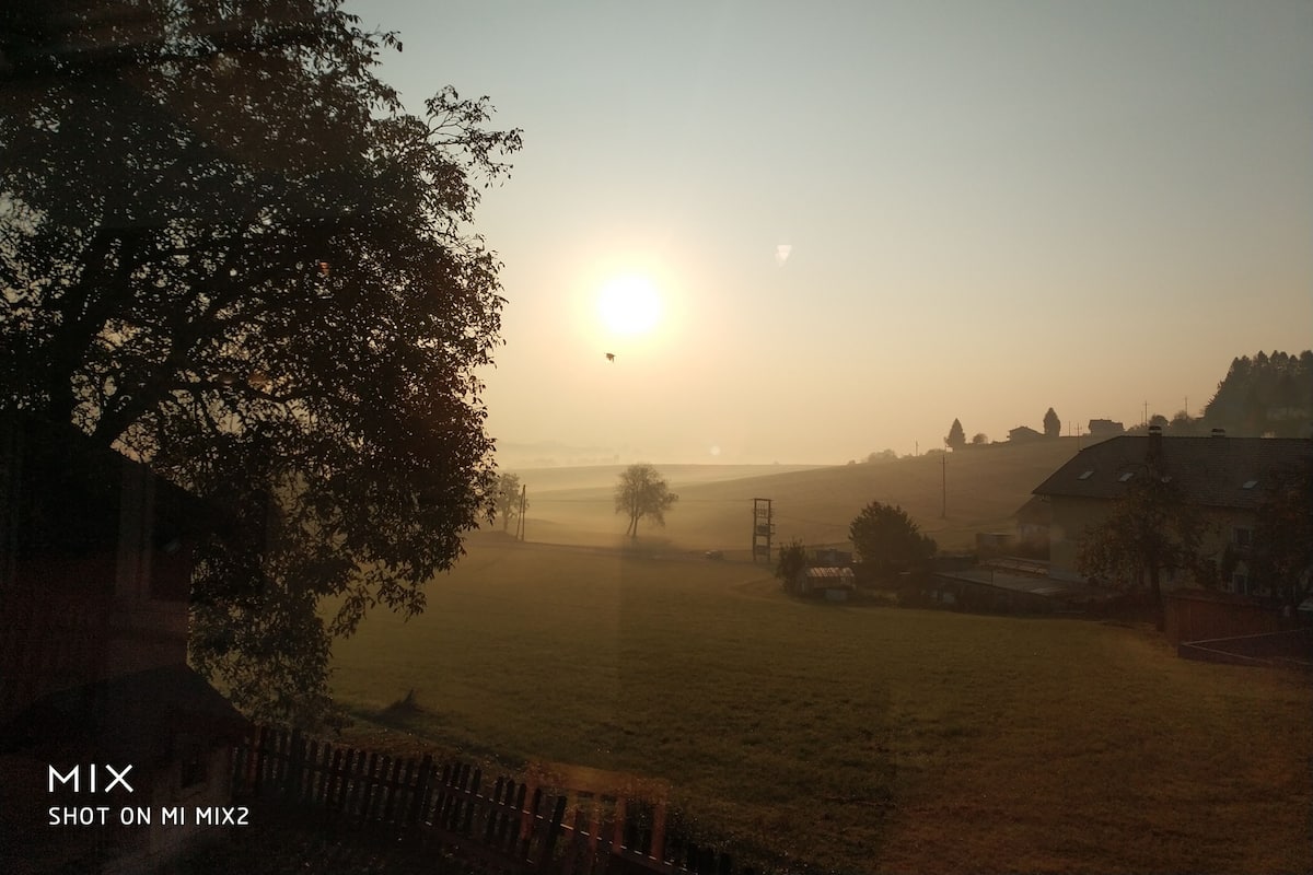 Paisaje rural con amanecer, un árbol y una cerca.