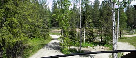 A dirt path surrounded by dense forest and a metal railing.
