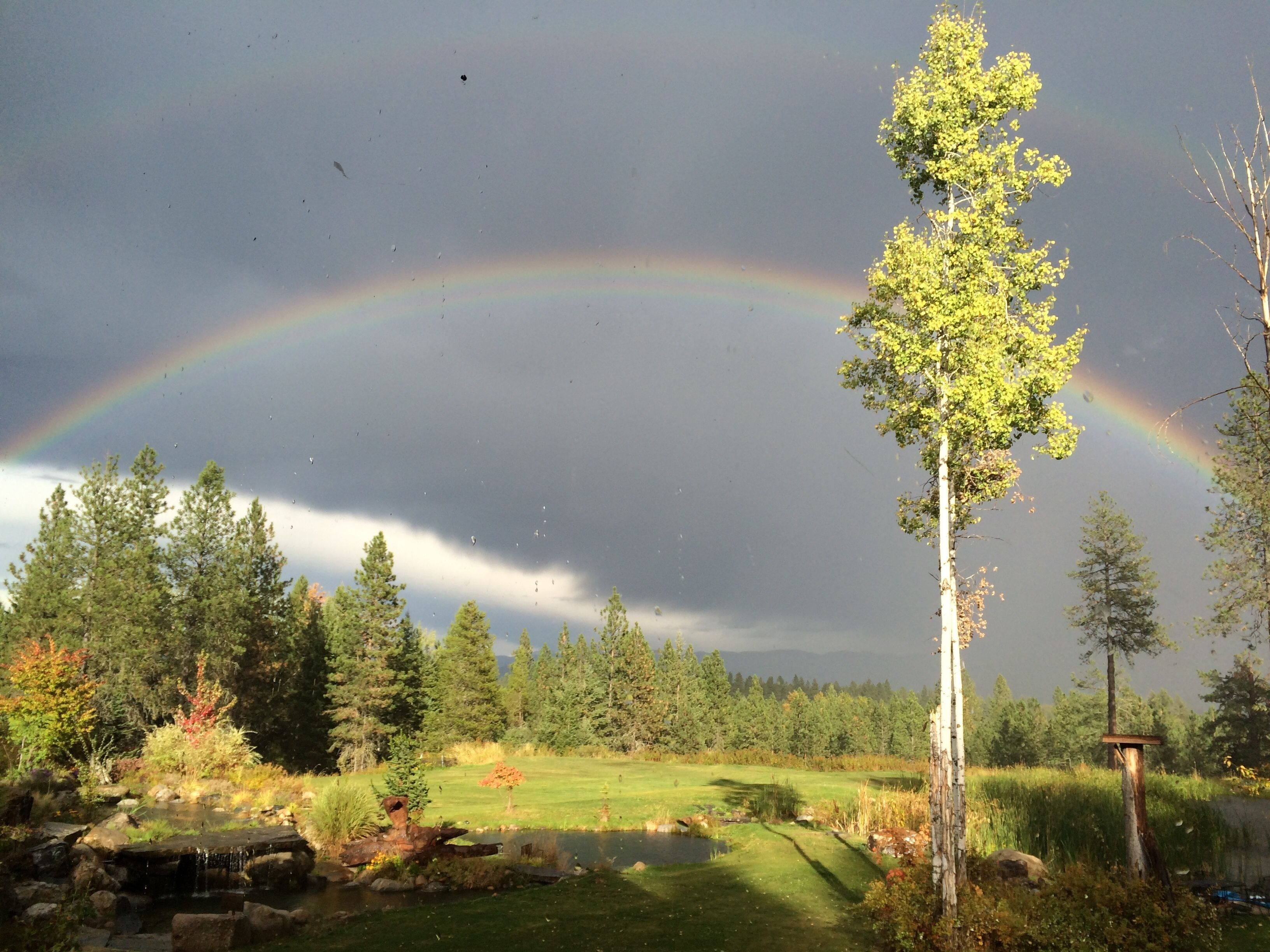 A landscape with a rainbow, trees, and a pond.